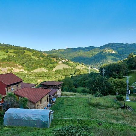 El Pulliu Casa Pichi 게스트하우스 외부 사진